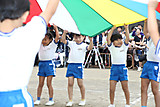 C43v8895_2