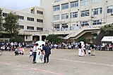C43v9531_2