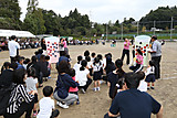C43v9541_2