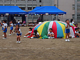 Pa060090