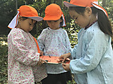 Img_3025