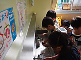 Pb050020