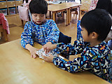 Pb050028