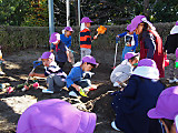Pb080020_2