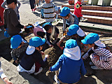 Pb080032_2