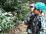 Photo_7