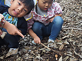 Photo_8