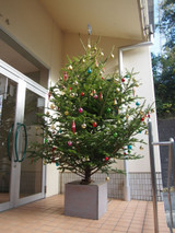 Pc050004