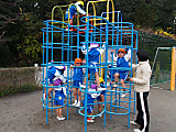 Pc060061
