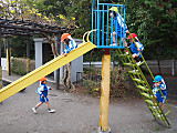 Pc060063