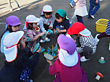 Pc180012_2