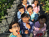 Img_0261
