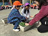 Img_4321