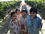 Img_5716